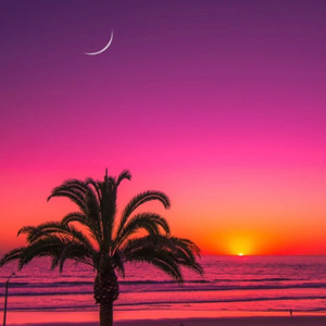california dreaming