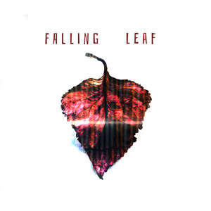 Falling Leaf