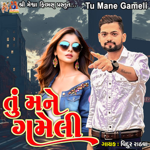 Tu Mane Gameli