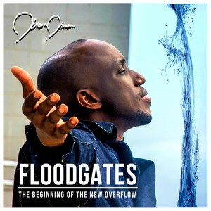 Floodgates: The Beginning of the New Overflow