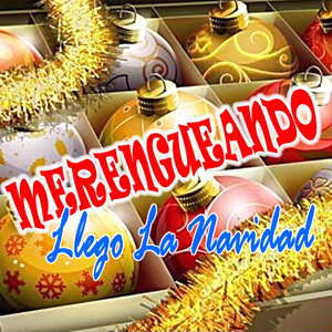 Llego la Navidad