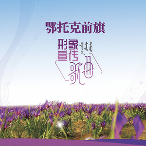 马兰花的故乡 (伴奏)