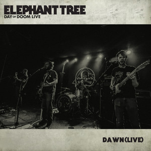 Dawn (Live)