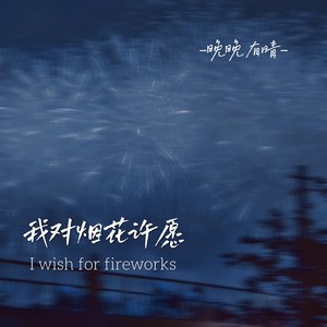 我对烟花许愿