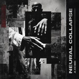Neural Collapse | FREE DL