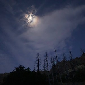 Welcome to the neighborhood