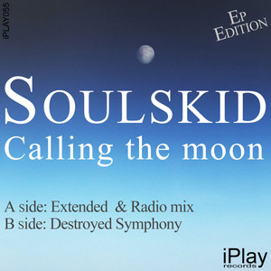 Destroyed Symphony (Original Mix)