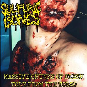 MASSIVE CHUNKS OF FLESH RIPPED FROM THE TORSO (Sulfuric Bones) (feat. Yoppa) (Explicit)