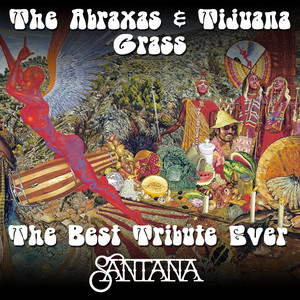 The Best Tribute Ever: Santana