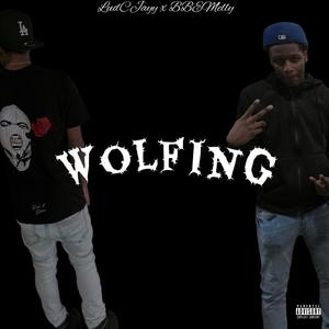 Wolfing (feat. LudCJayy & BBEMelly) [Explicit]