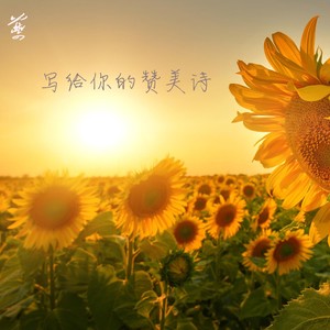 写给你的赞美诗