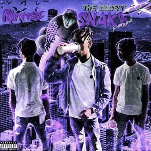 KRISS VEC (feat. MONEY MARR) (Explicit)