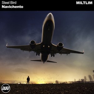 Steel Bird (Original Mix)