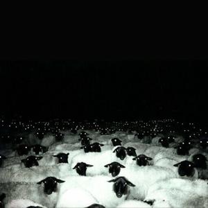 Rokkstaar (feat. SVNDRA) (Explicit)