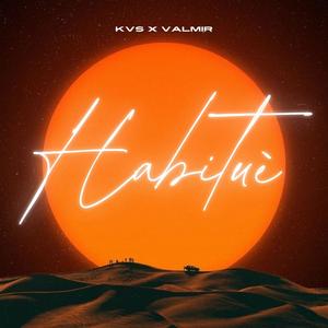 Habituè (feat. Valmir) [Explicit]