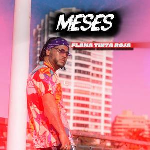 MESES