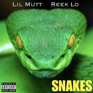 Snakes (Explicit)