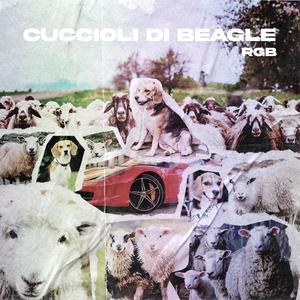 Cuccioli di Beagle (feat. JD & Canna Boom) (Explicit)