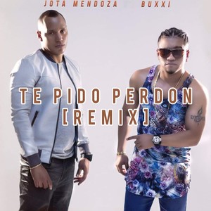 Te Pido Perdon (Remix)