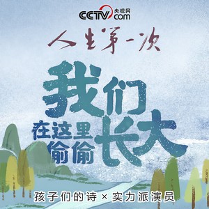 自由的风