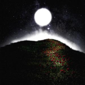 C'est pas ma faute (Explicit)