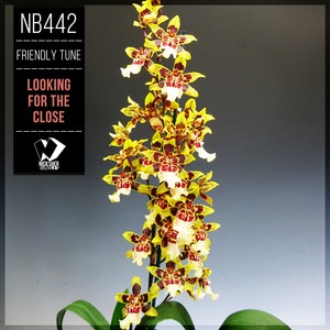 Friendly Tune - Living for You (Original Mix)