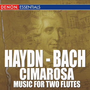 Concerto For 2 Flutes And Orchestra In G Major - Rondo Allegro Ma Non Tanto