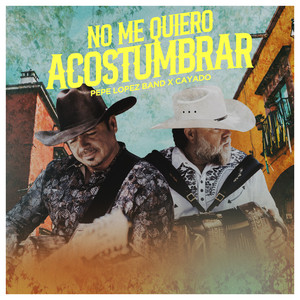 No Me Quiero Acostumbrar