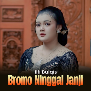 BROMO NINGGAL JANJI