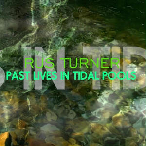 Past Lives in Tidal Pools