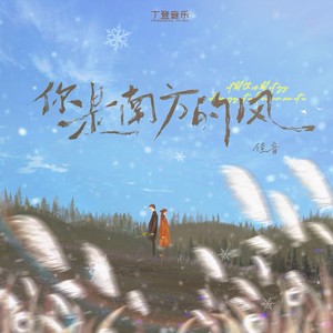 你是南方的风 (佳音版)