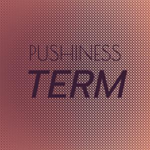 Pushiness Term