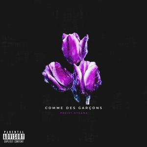 COMME des GARÇONS (Explicit)