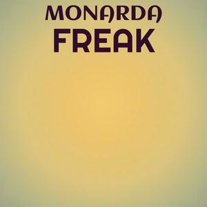 Monarda Freak