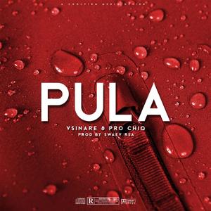Pula(feat. Pro-Chiq) (Explicit)
