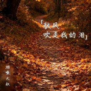 秋风吹走我的泪