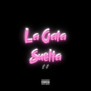 La Gata Suelta 2.0 Turreo Rkt (feat. IDGM RMX) [Explicit]