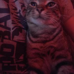 Space travling (Explicit)