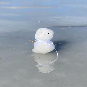 battle against a snowman (single)