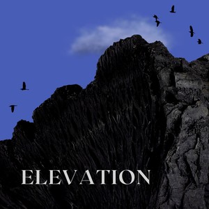 Elevation