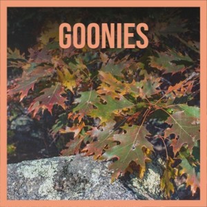 Call to Glory Bumper