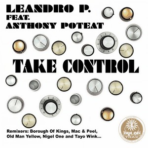 Take Control (Old Man Yellow Remix)