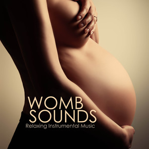 Womb Sounds - Heart Beat Sound for Newborn Babies and Toddlers, Relaxing Instrumental Music