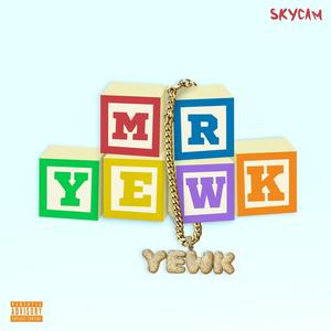 Mr. YEWK (Explicit)