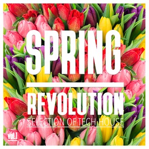 Simple Things (Manjas Remix)