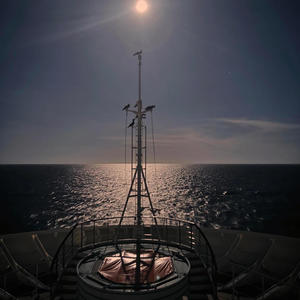 Wtf Twin (feat. Coltieboi) (Explicit)