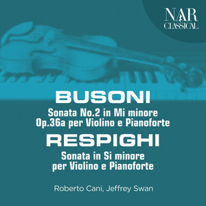 Violin Sonata No. 2 in E Minor, Op. 36a - VI. Andante