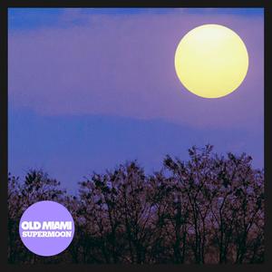 Supermoon (feat. Magnus) (Go Nova Remix)