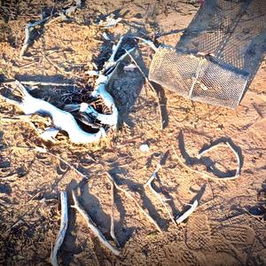 The Best, Worst, Pirates (feat. Erray, Kailey Heaton & Aaron Nichols)