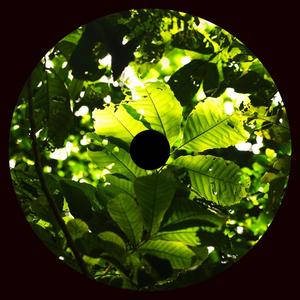 Macanudo (feat. PIEF & Willy Ojeda)